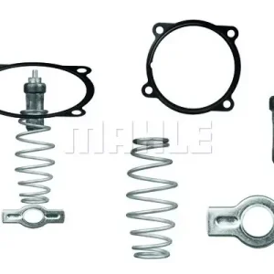 Termostat, płyn chłodzący Mahle TX 51 79D Darmowa dostawa